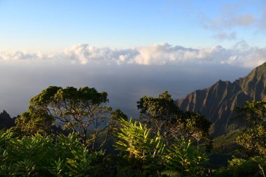 Hawaii 'deki Kauai adasındaki Kapaa' daki Kokee Eyalet Parkı 'ndan Kalalau Gözcü Manzarası