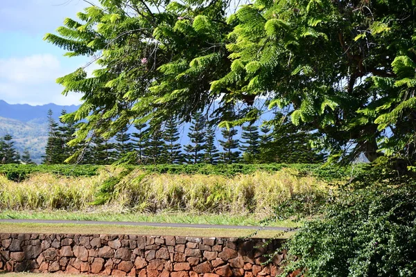 Vista Panorámica Isla Kauai Hawai —  Fotos de Stock