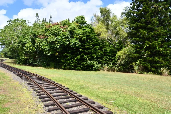 Lihue Ago Excursión Tren Plantación Kauai Plantación Kilohana Lihue Isla — Foto de Stock