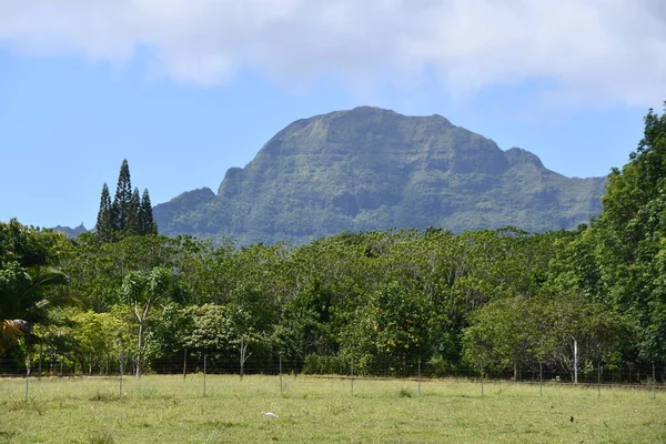 Lihue Aug 2021年8月20日在夏威夷考艾岛Lihue的Kilohana种植园 — 图库照片
