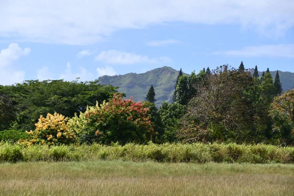 Lihue Aug Kilohana Plantage Bei Lihue Auf Kauai Island Hawaii — Stockfoto