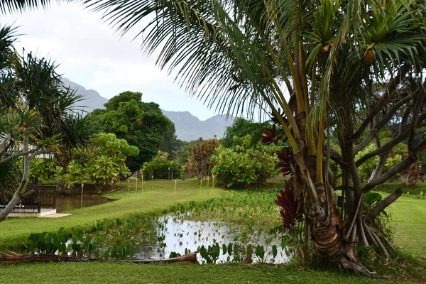 Lihi Aug Kilohana Plantation Lihue Kauai Island See Aug 2021 — 스톡 사진