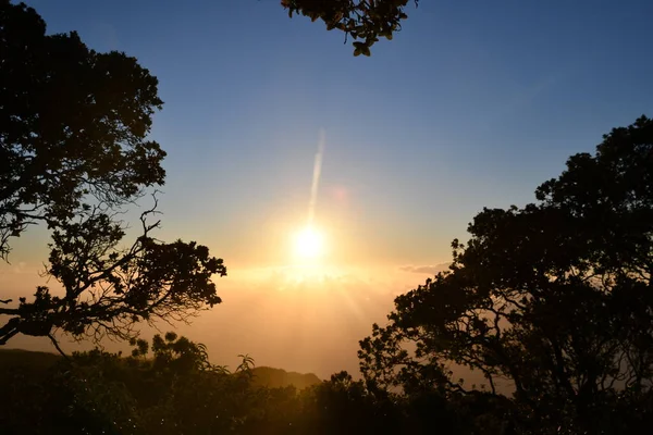 Hawaii Deki Kauai Adası Kapaa Daki Kokee Eyalet Parkı Nda — Stok fotoğraf