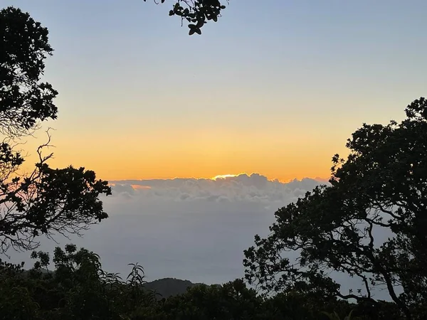 Widok Zachód Słońca Kalalau Lookout Kokee State Park Kapaa Kauai — Zdjęcie stockowe