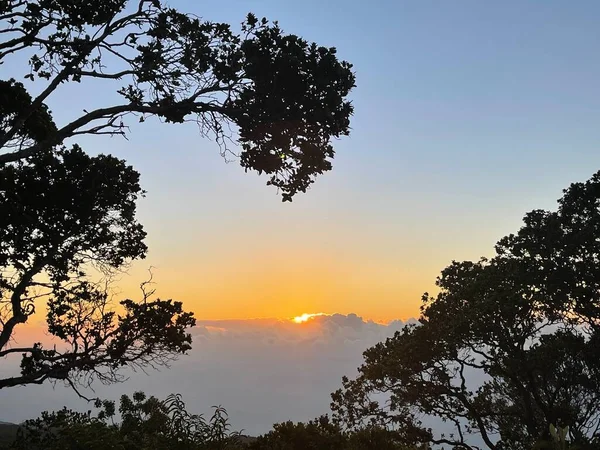 Sunset View Kalalau Lookout Kokee State Park Kapaa Kauai Island — Stock Photo, Image