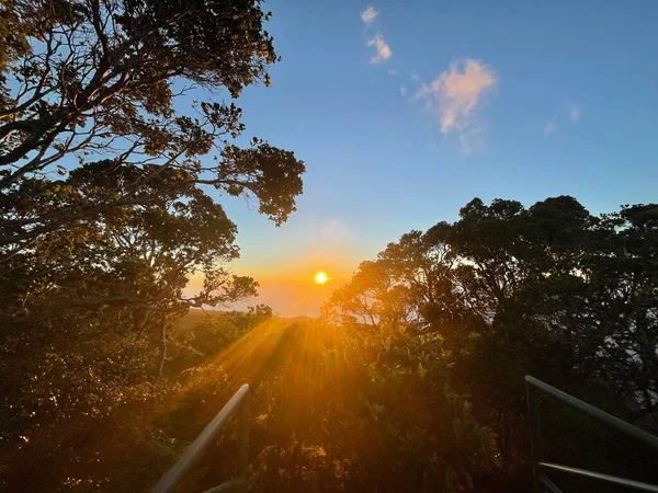 ハワイのカウアイ島カパアにあるコーキー州立公園のKalalau Lookoutからの夕日 — ストック写真