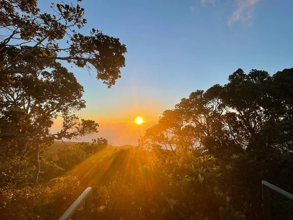 Widok Zachód Słońca Kalalau Lookout Kokee State Park Kapaa Kauai — Zdjęcie stockowe