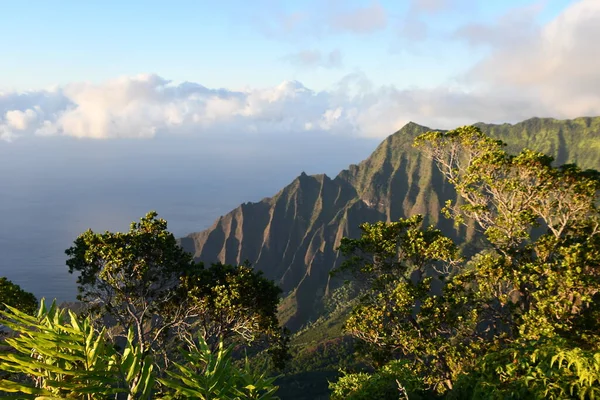 Vista Kalalau Lookout Kokee State Park Kapaa Ilha Kauai Havaí — Fotografia de Stock