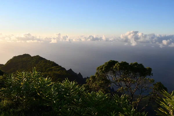 Uitzicht Vanaf Kalalau Uitkijk Kokee State Park Kapaa Het Eiland — Stockfoto