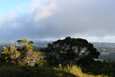 Hawaii 'deki Kauai Adası' ndaki Waimea Kanyonu Eyalet Parkı 'ndan Puu O Kila Gözcüleri