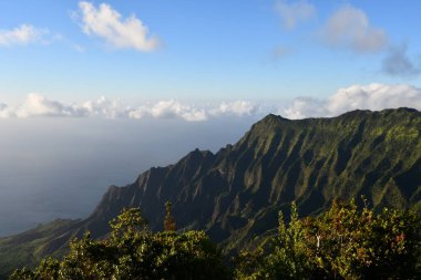 Hawaii 'deki Kauai Adası' ndaki Waimea Kanyonu Eyalet Parkı 'ndan Puu O Kila Gözcüleri