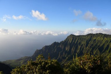 Hawaii 'deki Kauai Adası' ndaki Waimea Kanyonu Eyalet Parkı 'ndan Puu O Kila Gözcüleri
