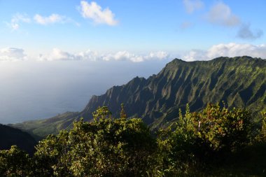 Hawaii 'deki Kauai Adası' ndaki Waimea Kanyonu Eyalet Parkı 'ndan Puu O Kila Gözcüleri