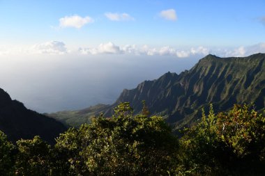 Hawaii 'deki Kauai Adası' ndaki Waimea Kanyonu Eyalet Parkı 'ndan Puu O Kila Gözcüleri