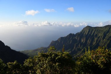 Hawaii 'deki Kauai Adası' ndaki Waimea Kanyonu Eyalet Parkı 'ndan Puu O Kila Gözcüleri