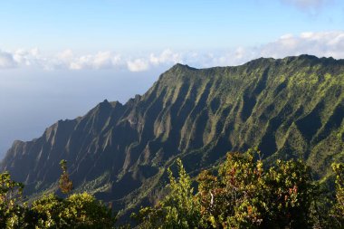 Hawaii 'deki Kauai Adası' ndaki Waimea Kanyonu Eyalet Parkı 'ndan Puu O Kila Gözcüleri
