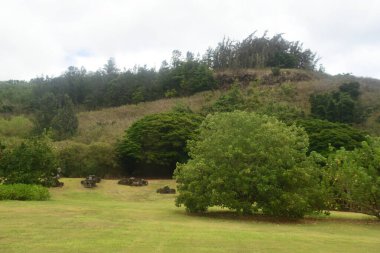 KOLOA HI - 21 AUG - Allerton Garden - Hawaii 'de Koloa' da Ulusal Tropikal Botanik Bahçesi, 21 Ağustos 2021 'de görüldüğü gibi.