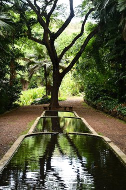 KOLOA HI - AUG 21: Three Pools at Allerton Garden - National Tropical Botanical Garden in Koloa on Kauai Island in Hawaii, as seen on Aug 21, 2021.
