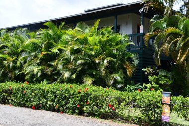 KOLOA HI - 21 AUG: 21 Ağustos 2021 'de Hawaii' de Koloa 'daki Bebek Sahili' nde görülen evler.