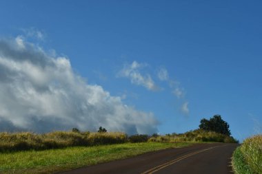 View from Waimea Canyon Drive on Kauai island in Hawaii