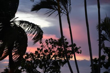 Hawaii 'deki Büyük Ada' da gün batımı