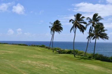 Hawaii 'deki Kauai' de Nawiliwili Limanı