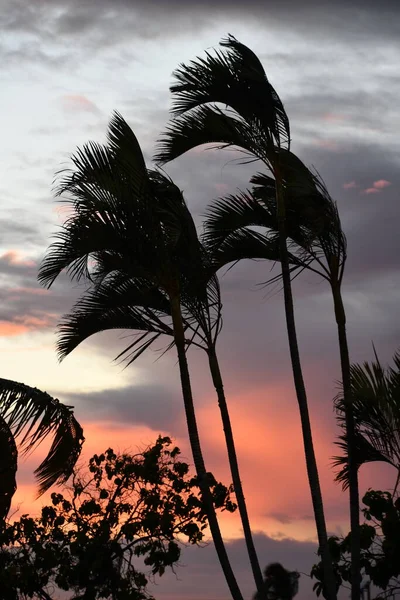 Zonsondergang Het Grote Eiland Hawaï — Stockfoto