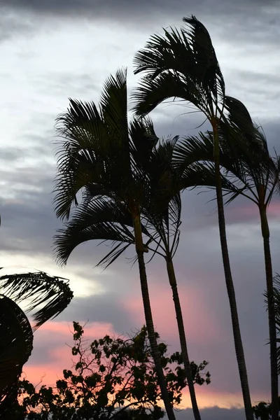 Zonsondergang Het Grote Eiland Hawaï — Stockfoto