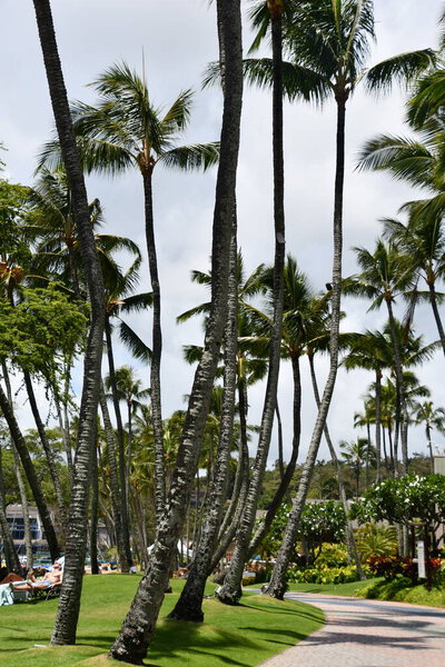 ЛИХУ, ХИ - 19 августа: Marriott Kauai Beach Club at Llue на острове Кауаи, Гавайи, 19 августа 2021 года.