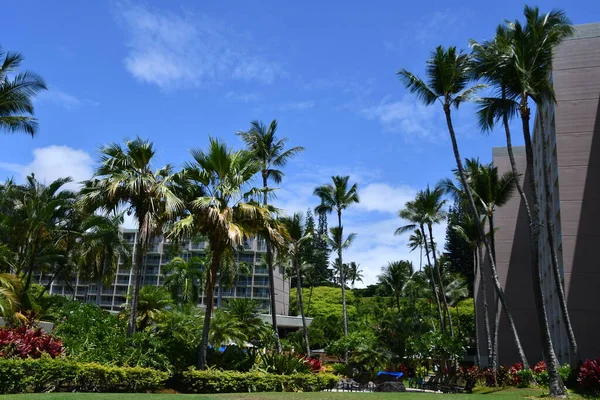 Lihue Aug Marriott Kauai Beach Club Lihue Kauai Island Hawaii — Stockfoto