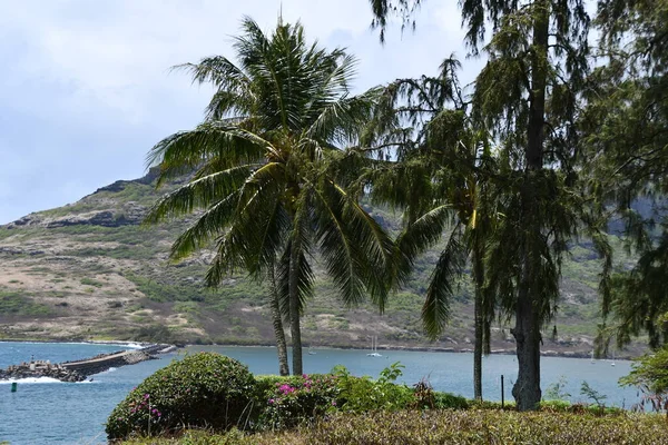 Nawiliwili Haven Kauai Hawaï — Stockfoto