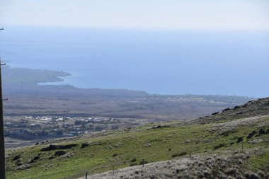 Hawaii 'deki Büyük Ada' da Hawi 'de Kohala Dağı Yolu' nda araba sürüyorum.