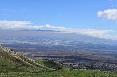 Hawaii 'deki Büyük Ada' da Hawi 'de Kohala Dağı Yolu' nda araba sürüyorum.