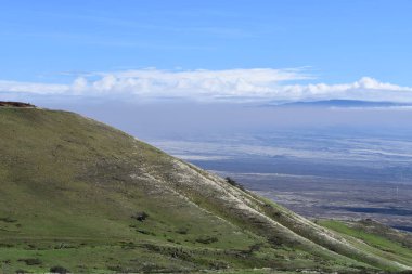 Hawaii 'deki Büyük Ada' da Hawi 'de Kohala Dağı Yolu' nda araba sürüyorum.