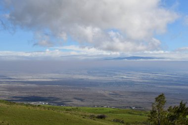 Hawaii 'deki Büyük Ada' da Hawi 'de Kohala Dağı Yolu' nda araba sürüyorum.