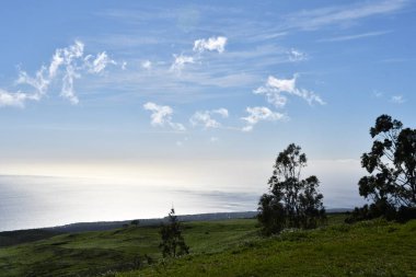 Hawaii 'deki Büyük Ada' da Hawi 'de Kohala Dağı Yolu' nda araba sürüyorum.