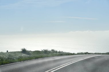 Hawaii 'deki Büyük Ada' da Hawi 'de Kohala Dağı Yolu' nda araba sürüyorum.