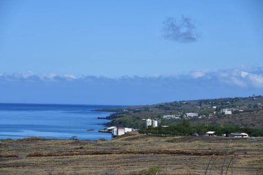 Hawaii 'deki Büyük Ada' da Hawi 'de Kohala Dağı Yolu' nda araba sürüyorum.