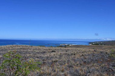 Hawaii 'deki Büyük Ada' da Hawi 'de Kohala Dağı Yolu' nda araba sürüyorum.