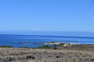 Hawaii 'deki Büyük Ada' da Hawi 'de Kohala Dağı Yolu' nda araba sürüyorum.