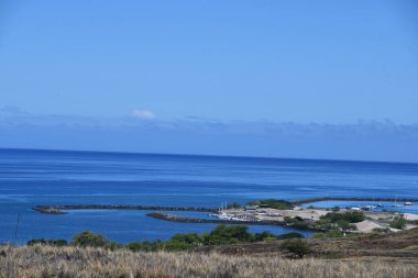 Hawaii 'deki Büyük Ada' da Hawi 'de Kohala Dağı Yolu' nda araba sürüyorum.