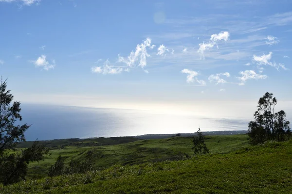 Проезд Кохала Маунтин Роуд Хави Большом Острове Гавайях — стоковое фото