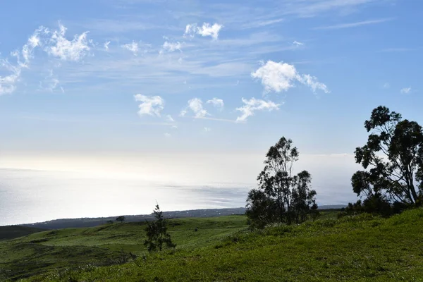 Hawaii Deki Büyük Ada Hawi Kohala Dağı Yolu Nda Araba — Stok fotoğraf
