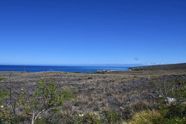 Jazda Kohala Mountain Road Hawi Big Island Hawajach — Zdjęcie stockowe