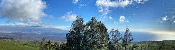 Driving Kohala Mountain Road Hawi Big Island Hawaii — Stock Photo, Image