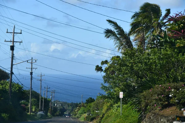 在夏威夷大岛Hawi的Kohala山路开车 — 图库照片