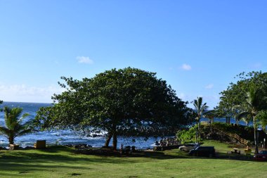 KAPAAU HI - 24 AUG Hawaii 'deki Kapaau' daki Keokea Beach Park, 24 Ağustos 2021 'de görüldüğü gibi.