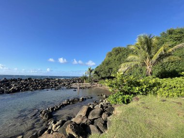 KAPAAU HI - 24 AUG Hawaii 'deki Kapaau' daki Keokea Beach Park, 24 Ağustos 2021 'de görüldüğü gibi.
