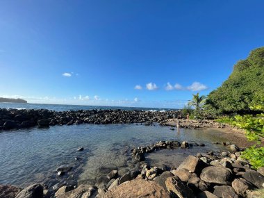 KAPAAU HI - 24 AUG Hawaii 'deki Kapaau' daki Keokea Beach Park, 24 Ağustos 2021 'de görüldüğü gibi.