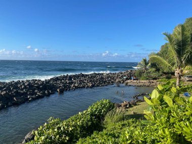 KAPAAU HI - 24 AUG Hawaii 'deki Kapaau' daki Keokea Beach Park, 24 Ağustos 2021 'de görüldüğü gibi.